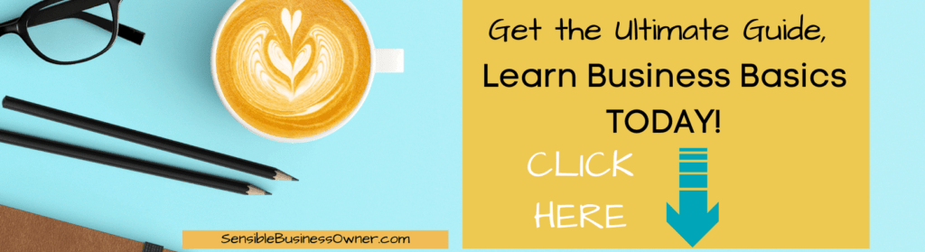 Sensible Business Owner Business Basics Guidebook
