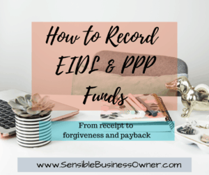 Learn How to Record EIDL & PPP Funds