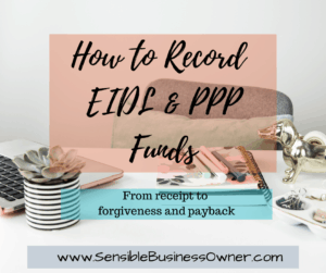 Read more about the article Learn How to Record EIDL & PPP Funds